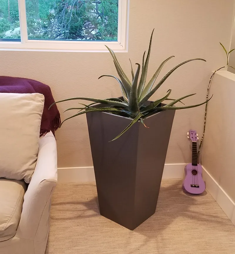 Project example 1 of 5